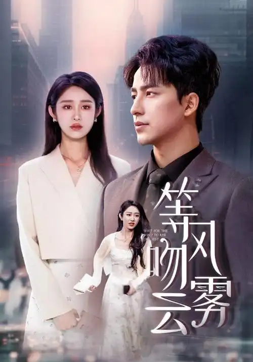 热播电视剧全集《沉默证词》